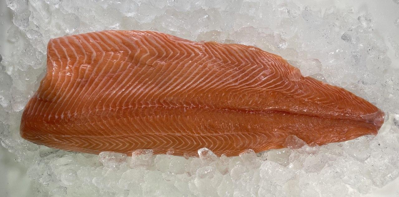 Premium Norwegian Salmon